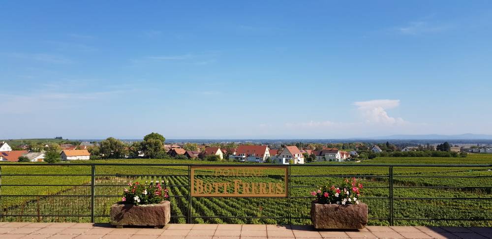 Domaine Bott Frères Kingersheim